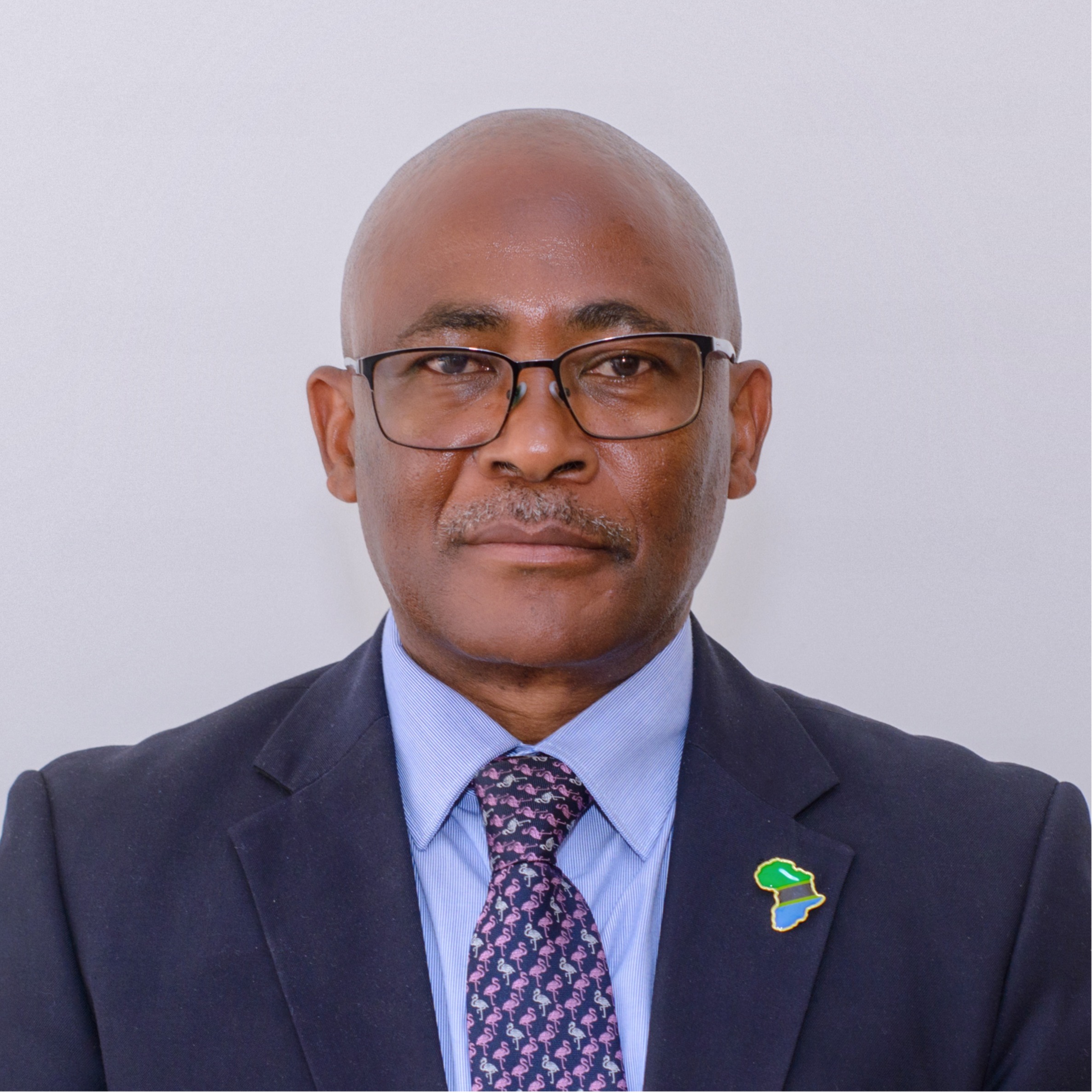 Prof. Peter L. M. Msoffe