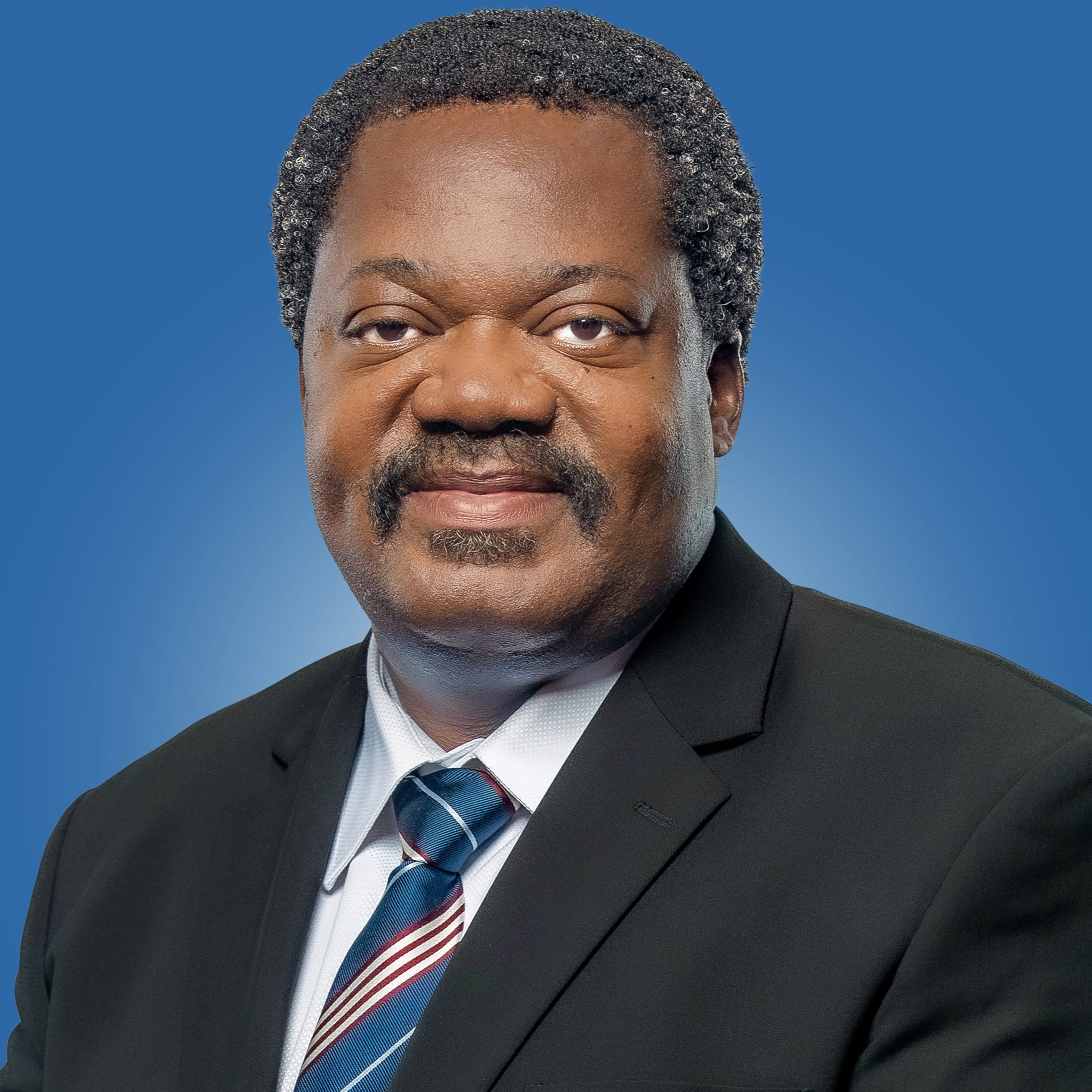 Emmanuel John Nchimbi photo