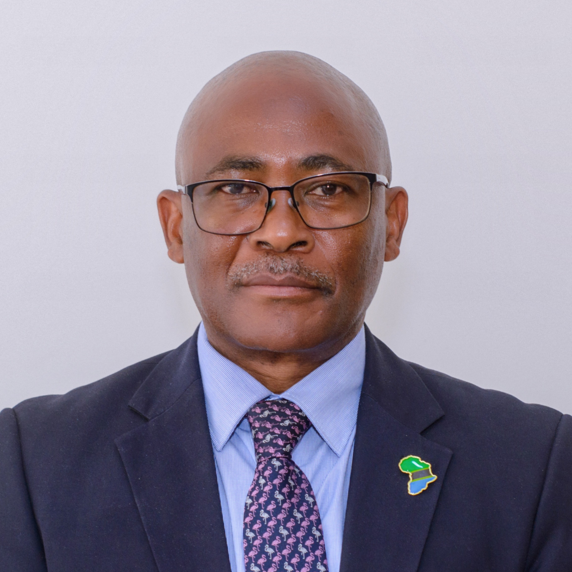 Peter L. M. Msoffe photo